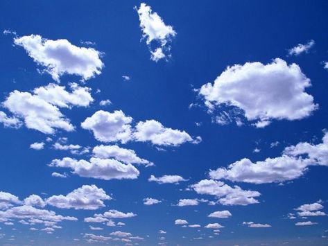 Cloudy Sky Background Widecsreen. Clouds From Below, 3d Clouds, Lamborghini Logo, Blue Sky Wallpaper, Blue Sky Clouds, Colorful Clouds, Cloud Wallpaper, Sky Background, Blue Clouds