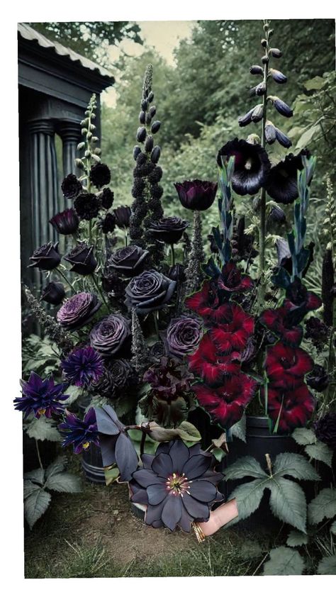 Black Flowers Garden, Gothic Backyard Ideas, Goth Garden Aesthetic, Goth Garden Ideas, Gothic Garden Ideas, Black Garden Ideas, Witchy Flowers, Witchy Backyard, Gothic Greenhouse