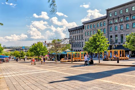 Best Shopping In Montreal, Montreal Things To Do, Downtown Montreal, Canada Map, Old Montreal, Underground Cities, Beautiful Streets, Shopping Malls, What To Buy