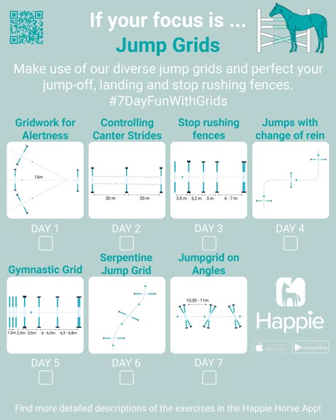 Horse Gymnastic Exercises, Horse Pole Exercises, Jump Courses For Horses, Horse Polework Exercises, Horse Riding Exercises, Gridwork For Horses, Horse Grid Exercises, Polework Exercises, Polework Exercises For Horses