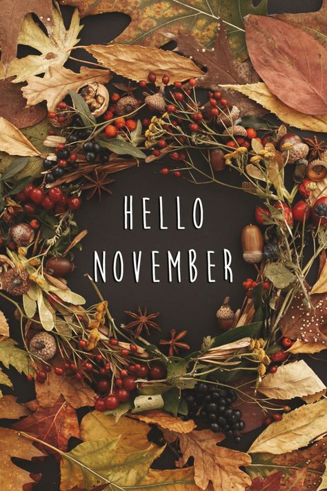 November Aesthetic - Photo of Fall Leaves with the words "Hello November" In the middle Happy November Wallpaper, November Fb Cover Photos, November Athestic, November Fall Aesthetic, November Aesthetic Month, November Pictures Fall, Welcome November Beautiful, November Cover Photos, Happy November Images