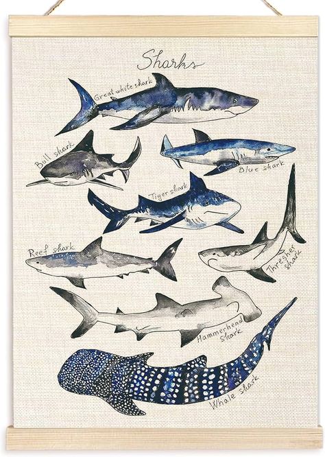 Amazon.com: Ecezatik Sharks Poster Hanger Frame, Shark Wall Art, Beach Room Decor, Coastal Home Decor, Shark Hanging Wall Decor for Classroom Nursery Boys Room, Shark Gifts for Shark Lovers, 12x16 Shark Room Decor Aesthetic, Shark Poster Aesthetic, Shark Boys Room, Sharks Poster, Wall Decor For Classroom, Shark Posters, Shark Themed Bedroom, Shark Bedroom, Room Decor Coastal