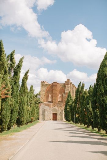 Tuscan Luxury at the Borgo Santo Pietro - Entouriste Tree Lined Path, Borgo Santo Pietro, Tuscany Wedding Venue, Cast Iron Gates, Tuscan Wedding, Iron Gates, Tree Line, Tuscany Wedding, Wine Region