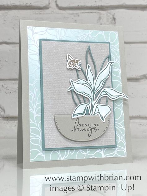 Splendid Thoughts Bundle, Splendid Day Specialty Designer Series Paper, Stampin Up!, Brian King Stampinup Splendid Thoughts, Splendid Thoughts Stampin Up Cards, Stampin Up Sympathy, Stampin Up Sympathy Cards, Thoughts And Prayers, Mini Cat, Holiday 2022, Puff Paint, Sending Hugs