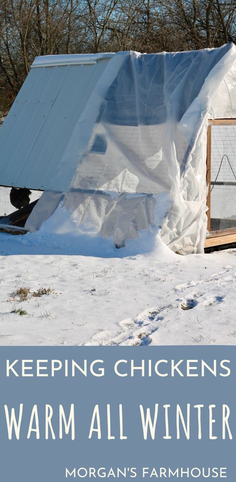 Are you worried about keeping your chickens warm in the winter? Heat lamps aren’t the only answer despite what the farm stores would like you to believe. In fact, there are much safer ways to keep the birds comfortable in the freezing temps. Chicken Coop Winter, Chicken Coop And Run, Coop And Run, Raising Chicken, Chickens In The Winter, Chicken Shed, Winter Fire, Homegrown Food, Raising Backyard Chickens