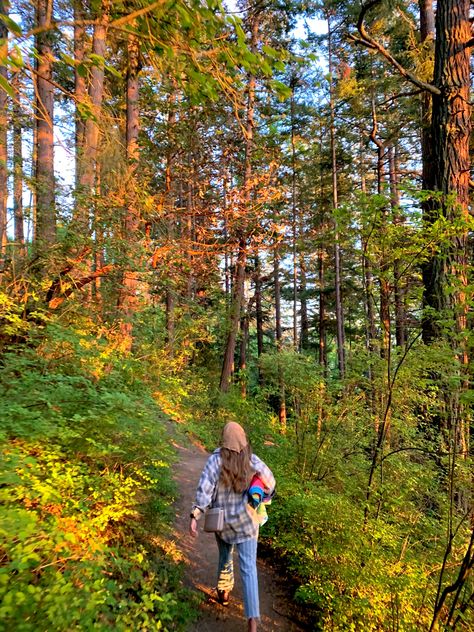 Nature Hikes Aesthetic, Day Hike Aesthetic, Hiking Vision Board Pictures, Summer Wilderness Aesthetic, Hiking Forest Aesthetic, Spring Hiking Aesthetic, Nature Hiking Aesthetic, Happy Days Aesthetic, Summer Aesthetic Camping