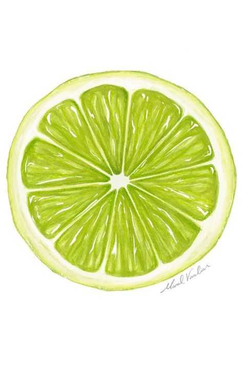 Lime Illustration Graphic Design, Lime Slice Painting, Fruit Slices Drawing, Fruit Slice Painting, Procreate Fruit Drawing, Sliced Fruit Drawing, Lime Slice Drawing, Lime Drawings Fruit, Fruit Slice Drawing