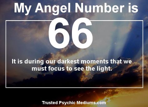 66 Angel Number Meaning, 66 Angel Number, Number Symbolism, Underground Forest, My Angel Number, Numerology Calculation, Number Chart, Numerology Numbers, Meaningful Pictures