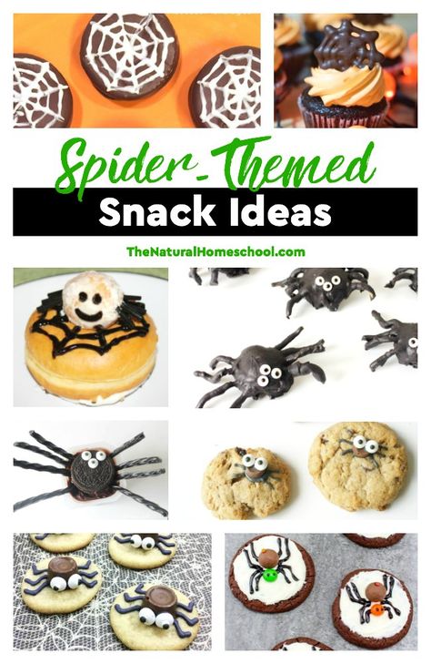 In this post, we share a list of spider themed snacks and we also show you one of the snacks we made. These ideas can be used anytime or they can be made into Halloween spider snacks as well. Spider Snacks Preschool, Spider Snacks For Kids, Spider Snacks, Spider Themed Food, Spider Desserts, Spider Theme, Theme Snack, Family Snacks, Preschool Snacks