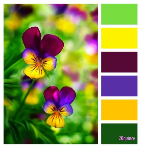 Pansy Color Palette, Colour Emotion, Color Palette Yellow, Watercolor Palette, Design Seeds, Color Palette Design, Color Harmony, Colour Board, Yellow Painting