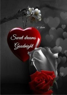 Good Night My Sweetheart, Romantic Good Night Messages, Photos Of Good Night, Good Night Dear, Good Night Images Hd, Good Night Wallpaper, Good Night Beautiful, Good Night Love Quotes, Romantic Good Night