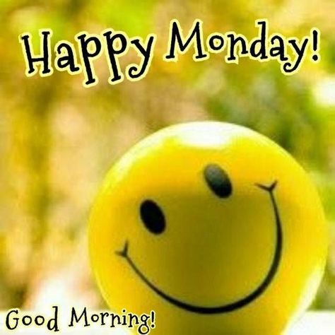 Good Morning Images Monday, Monday Good Morning Images, Happy Monday Good Morning, Good Morning Quotes Monday, Morning Quotes Monday, Happy Monday Pictures, Quote Good Morning, Monday Good Morning, Happy Monday Images