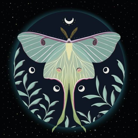 Moth Artwork, Moth Drawing, Moth Illustration, Lunar Moth, Moon Silhouette, Moon Moth, Moth Art, Hawk Moth, Magical Creature