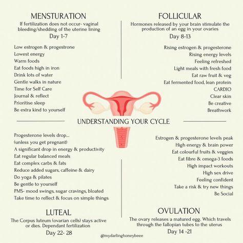 Hormone Nutrition, Cycling Food, Selfcare Ideas, Period Blood, Period Care, Winter Arc, Healthy Hormones, Menstrual Health, Feminine Health