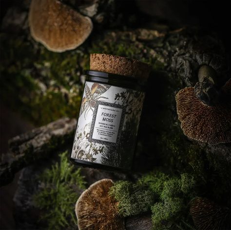 Forest Moss Candle by L’apothicaire Co. | L'apothicaire Co. // Tantalizing Tinctures to Delight the Senses 🌿 Moss Candle, Gothic Bohemian, Botanical Candle, Forest Moss, Candle Store, Maker Shop, Glass Jar Candles, Time 100, Pine Needles