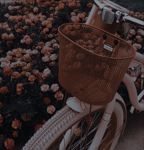 Alex + Core + Aesthetic, Ani Core, Alex Core, Clara Galle, Ugly Love, Aesthetic Journal, Lily Bloom, Aesthetic Flowers, Aesthetic Board