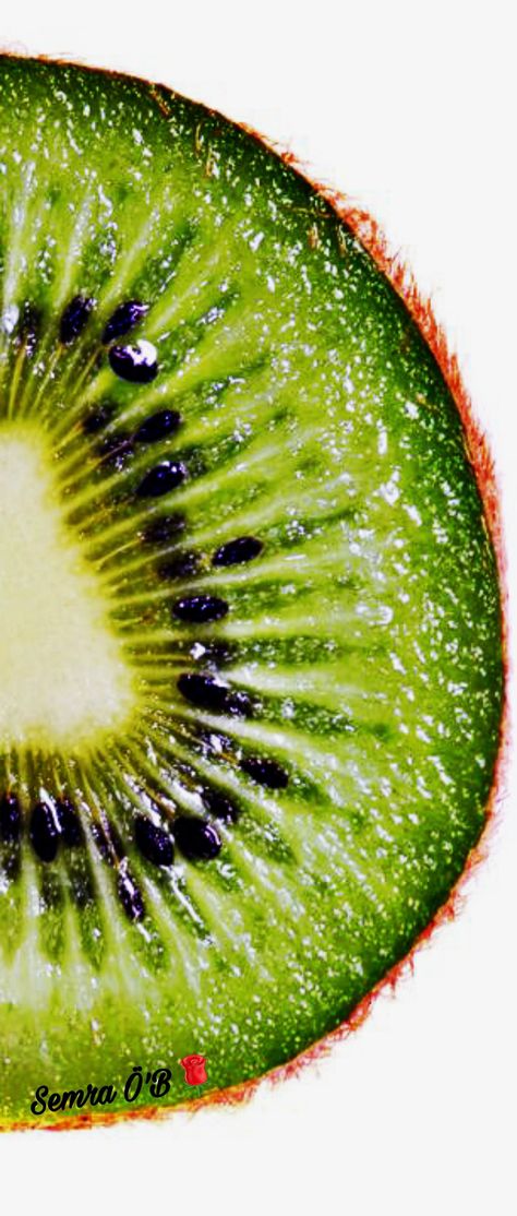 Kiwi🥝🥝 #SemraÖB #kiwi #summer  @kadirbubu25  #tropicalfruits Kiwi Reference, Kiwi Photography, Kiwi Aesthetic, Natural Forms Gcse, Fruit Collage, Natures Bounty, Mises En Page Design Graphique, Higher Art, Asthetic Picture