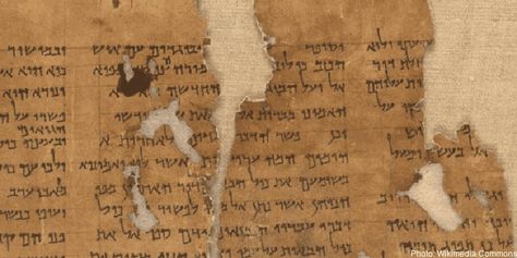 What Are the Dead Sea Scrolls? | Qumran Caves Discovery | IFCJ Ancient Manuscripts, Book Of Esther, Semitic Languages, Dead Sea Scrolls, Hebrew Bible, The Holy Land, The Shepherd, Dead Sea, Holy Land