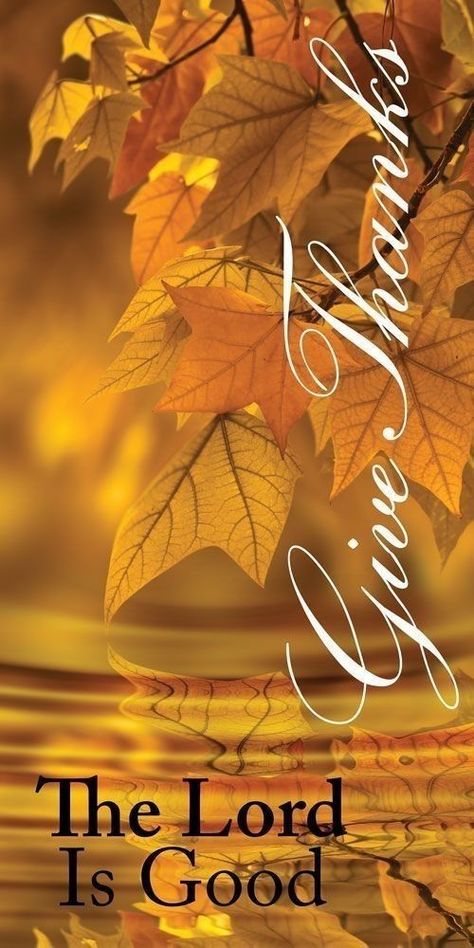 Thanksgiving Iphone Wallpaper, Happy Thanksgiving Wallpaper, Happy Thanksgiving Pictures, Church Banner, Happy Thanksgiving Images, Fall Themes, Thanksgiving Messages, Thanksgiving Background, Thanksgiving Pictures