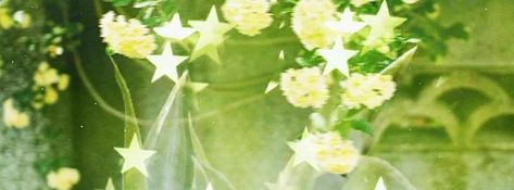 Green Header Gif, Light Green Header, Light Green Banner, Strawberry Widget, Aesthetic Bear, Coquette Spring, Green Banner, Theme Phone, Phone Customization