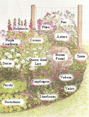 Birdhouse Garden Ideas Yards, Cottage Flower Garden Ideas, Bee And Butterfly Garden Layout, Southern California Flower Garden, Florida Pollinator Garden, English Garden In Florida, Easy Cottage Garden, Cottage Garden Planting Plan, Oval Garden Design