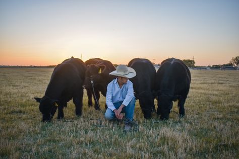 Livestock Senior Pictures Cattle, Welding Senior Pictures, Farm Senior Pictures, Livestock Photography, Sr Photos, Show Steers, Senior Photos Boys, Livestock Trailers, Farm Photos