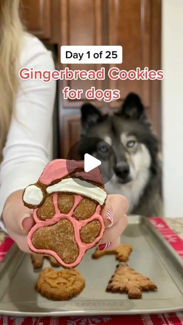 The Husky Fam on Instagram: "Get ready for 25 days of Christmas dog treats 🎅🏼🎄" Christmas Dog Treats, 25 Days Of Christmas, Treat Recipes, Dog Cookies, Dog Treat Recipes, Dog Treat, December 1, Treat Recipe, Christmas Dog