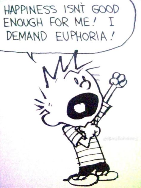 Euphoric Quotes, Calvin And Hobbes Quotes, Charlie Brown Quotes, Calvin And Hobbes Comics, Dont Lose Yourself, Teaching Posters, Chalkboard Designs, Pet Tiger, Quotes Happy