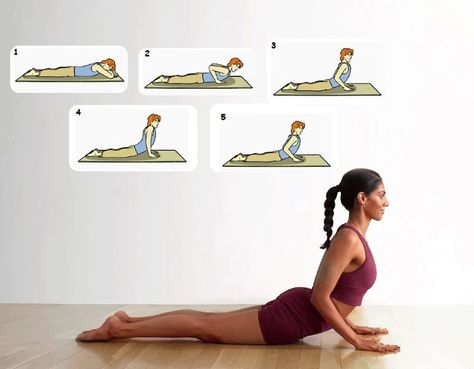 Improve Sleep Naturally: Bhujangasana (Cobra Pose) Explained – The Sleep Company Cobra Pose, Yoga Pose, Improve Sleep, Call Backs, Yoga Poses, Do It, Sleep, Benefits, Yoga