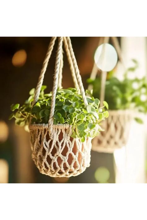 Are you ready to add some creativity to your space with a stunning DIY macrame hanging planter? This exciting project allows you to learn how to make beautiful planters that will elevate your indoor garden. With just some macrame cord and a little bit of know-how, you can design custom planters perfect for any plants, like trailing vines and succulents. Not only will these add charm to your home décor, but you could also gifts this unique handmade creation to someone special! Dive into macrame and lift your space today! Diy Ladder Shelf, Beautiful Planters, Macrame Hanging Planter, Macrame Planter, Custom Planters, Macrame Hanger, Trailing Plants, Spice Jar, Macrame Hanging