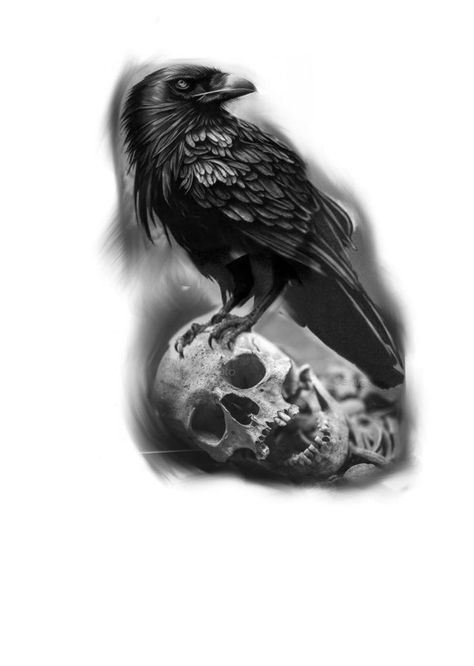 Tattoo Odin, Black Crow Tattoos, Witcher Tattoo, Rabe Tattoo, Crow Tattoo Design, Dragon Tattoo Ideas, Scandinavian Tattoo, Skull Rose Tattoos, Skull Art Tattoo