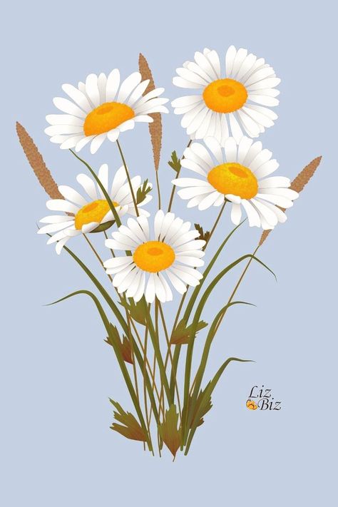 Wild Daisy Drawing, Field Flowers Illustration, Digital Art Flowers Illustrations, Grass And Flowers Drawing, Floral Digital Art, Flower Graphic Design Illustration, Daisy Drawings, Drawing Daisies, Flower Graphic Illustration