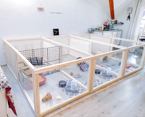 Rabbits rabbit-enclosure enclosure diyenclosure diy Gingersworld rabbit rabbitenclosure Diy Rabbit Incloser, Walk In Rabbit Enclosure, Bunny Cage Ideas Indoor, Diy Bunny Cage, Diy Rabbit Cage, Rabbit Playpen, Rabbit Pen, Rabbit Enclosure, Bunny Room