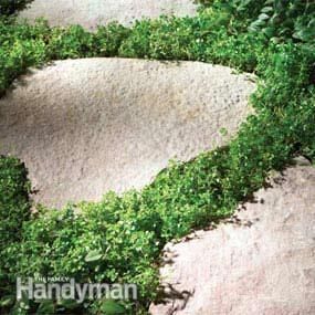 Affordable Garden Path Ideas Garden Path Ideas, Patio Blocks, Stepping Stone Paths, Walkway Landscaping, Garden Rake, Path Ideas, Gravel Path, Stone Walkway, Stone Path