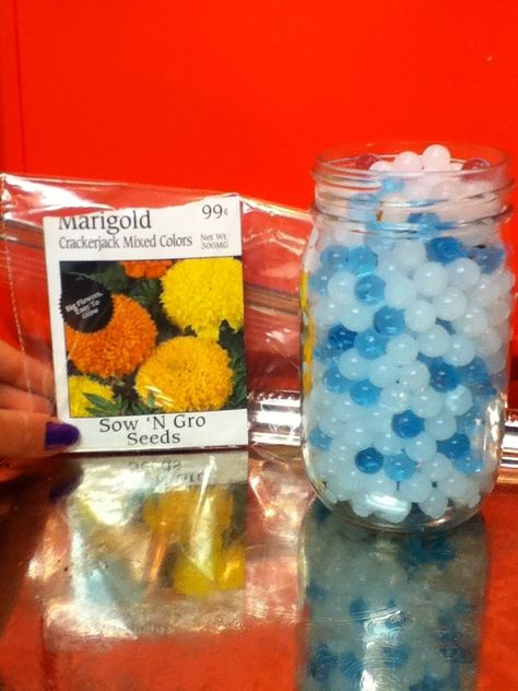 Planting With Orbeez Orbeez Ideas Crafts, Things To Do With Orbeez, Orbeez Crafts, Water Beads Ideas, Orbeez Ideas, Adaptive Activities, Chopsticks Crafts, Learn Science, Teen Crafts