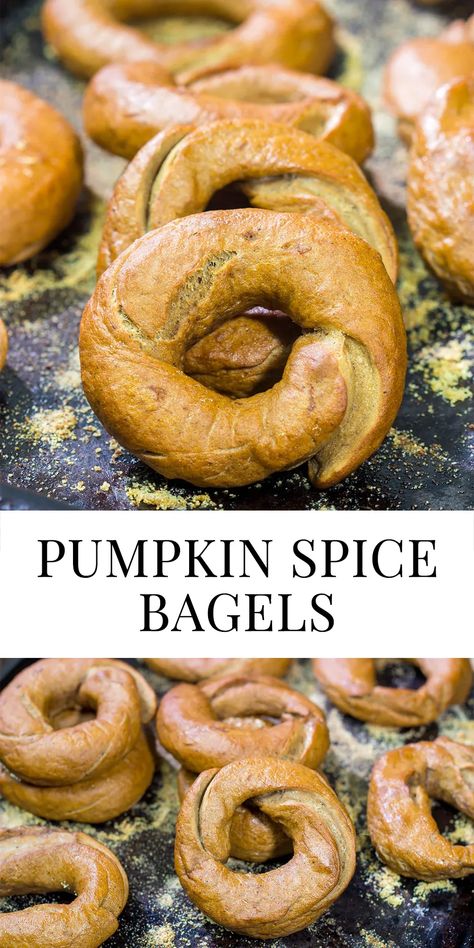 Packed with real pumpkin and pumpkin pie spice, these Pumpkin Spice Bagels are a fun addition to the fall baking lineup! Breakfast Brunch Party, Pumpkin Bagels, Pumpkin Spice Donut, Pumpkin Spice Recipe, Homemade Bagels, Bagel Recipe, Pumpkin Spice Coffee, Pumpkin Spice Season, Spiced Coffee