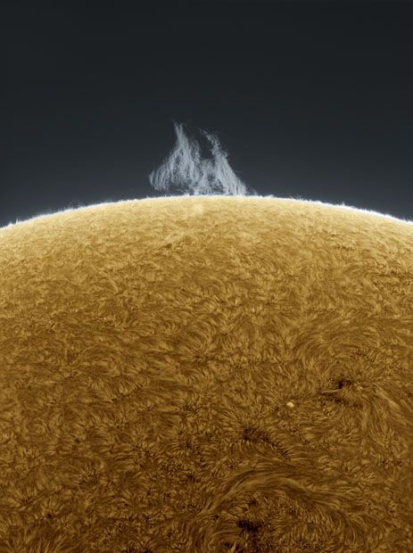 Photographer Captures Detailed Photos of the Sun From His Backyard Carl Sagan Cosmos, Pictures Of The Sun, Space Cadet, Star Formation, Space Cowboy, Hubble Space, Solar Flare, Golden Sun, E Mc2