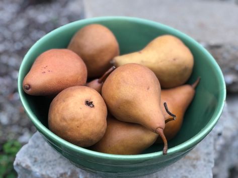 Chinese Pear Soup for Lung Health - Two Jade Bowls Pear Soup, Lung Health, Red Delicious Apples, Chinese Recipe, Healing Magic, Easy Chinese Recipes, Poached Pears, Lungs Health, Pear Recipes