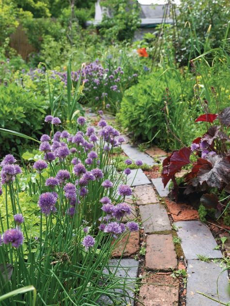 Alys Fowler Garden, Gardens With Rocks, Rocks Garden Ideas, Garden Bricks, Garden Dividers, Rocks Garden, Garden Path Ideas, Allotment Ideas, Edible Gardening