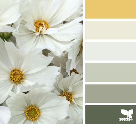 flora tones | design seeds | Bloglovin’ Tile Color Palette, Color Bathroom Design, Design Seed, Seeds Color, Color Concept, Farmhouse Ideas, Orange Design, Design Seeds, Colour Board