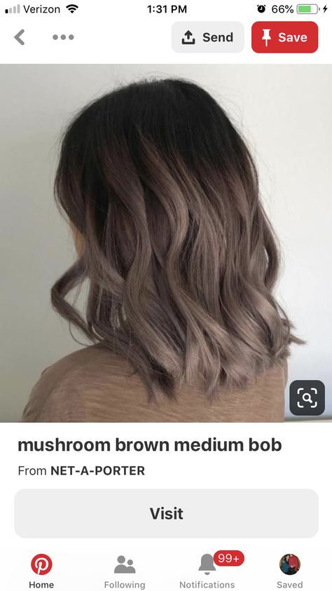 Ash Ombre Hair, Lisa Hair, Mushroom Hair, Mushroom Brown, Short Ombre Hair, Ash Brown Hair, Brown Ombre Hair, Brown Hair Looks, Hair Color Formulas