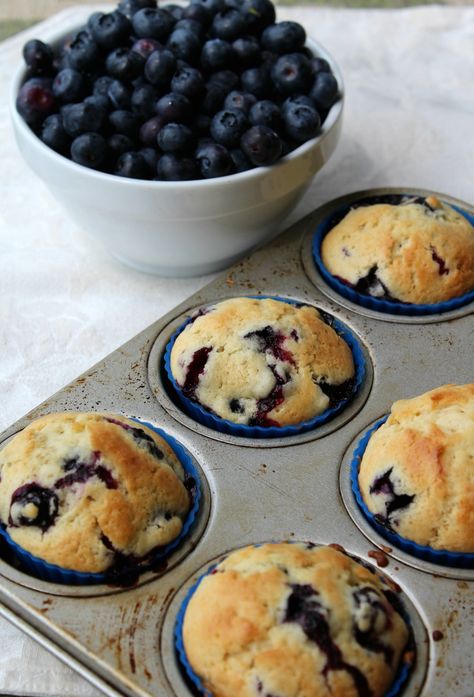 Muffins Blueberry, Homemade Blueberry Muffins, Easy Blueberry Muffins, Potatoes Easy, Best Blueberry Muffins, Simple Muffin Recipe, Parmesan Potatoes, Muffin Recipes Blueberry, American Recipes