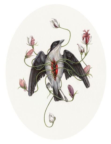 CHRISTINA MROZIK — Cebu Flowerpecker Christina Mrozik Art, Cebu Flowerpecker, Tegan White, Christina Mrozik, Olaf Hajek, Metamorphosis Art, Minimalist Tattoo Ideas, Mother Tongue, Desenho Tattoo