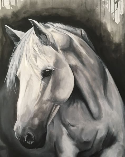 Black And White Horse Painting, Black And White Painting Acrylic, Black And White Horse Art, Horse Paintings Acrylic, White Horse Painting, Horse Canvas Painting, Horse Art Drawing, Canvas Painting Ideas For Beginners, Australia Art