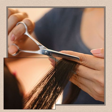 Ponytail Haircut, Hair Thinning Scissors, Point Cut, Hair Shears, How To Cut Your Own Hair, Diy Haircut, Thinning Shears, Hair Thinning, Thinning Scissors