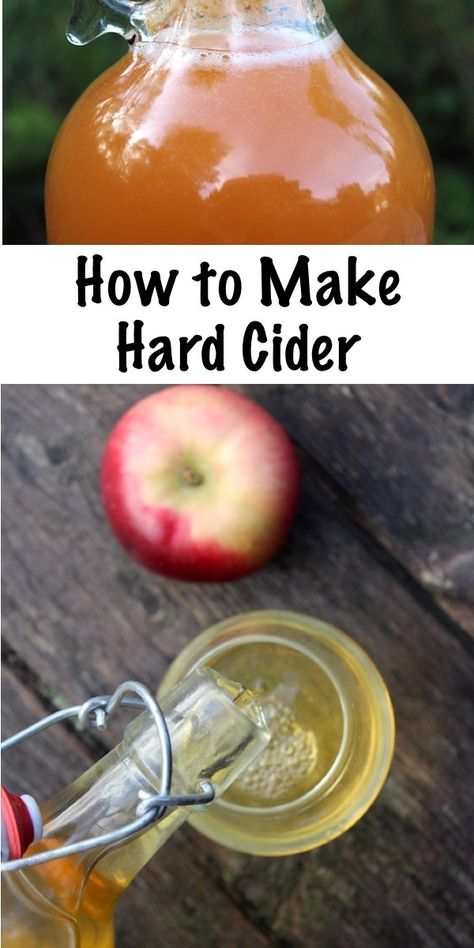 How to Make Hard Cider ~ Homemade hard cider is easier than you think!  Starting with home pressed apples or storebought juice, learn how to make homemade hard cider with minimal equipment and no experience.  This beginners guide has everything you need for your first batch of hard cider. #cider #hardcider  #recipe #fermenting #winemaking #brewing #homebrewing #homebrew #beverages #homemade #fermented #fermenteddrink How To Make Cider From Apples, Diy Cider Recipe, Apple Cider Recipe Alcoholic, Home Made Cider Recipes, Homemade Cider Recipe, Apple Mead Recipe, How To Make Apple Cider, Alcoholic Apple Cider Recipe, Hard Apple Cider Recipe