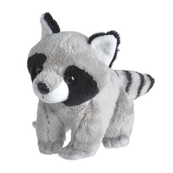 Pocketkins Small Plush Raccoon by Wild Republic Raccoon Plushies, Stuffed Raccoon, Silly Plushies, Raccoon Stuffed Animal, Full Body Puppets, Baby Raccoon, Animal Wall Art Nursery, Trash Panda, Woodland Theme