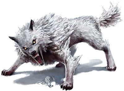 Monster Manual, Winter Wolves, Creature Fantasy, Dark Creatures, D D Monsters, Werewolf Art, Dnd Monsters, Fantasy Beasts, Legendary Creature