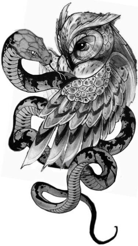 Mexican Owl Tattoo, Owl Snake Tattoo, Owl And Snake Tattoo, Athena Vibes, Owl Drawing Simple, Traditional Tattoo Black And White, Owl Tat, Dragon Tattoo Ideas, Dinosaur Sketch