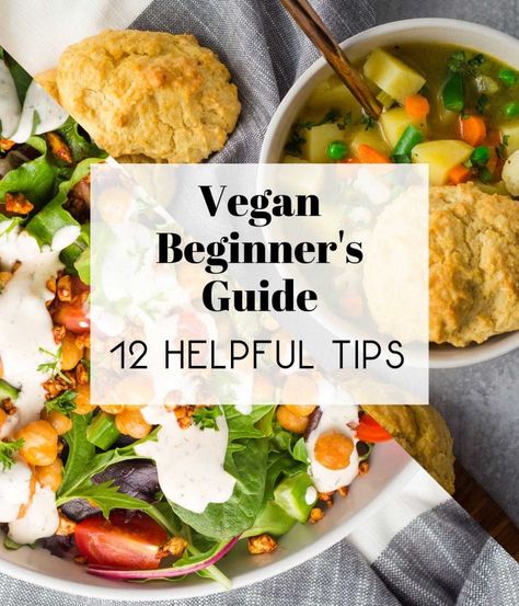 Vegan Beginner's Guide: 12 Helpful Tips Pinto Bean Soup Recipes, Vegan Bean Recipes, Tasty Vegan Recipes, Vegan Creamer, Vegan Grocery List, Vegan Coleslaw, Vegan Grocery, Healthy Vegan Breakfast, Vegan Guide